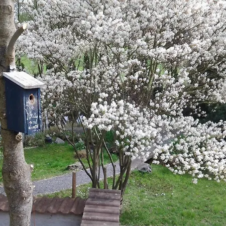 Seebach Vermietung Appartement Weisendorf