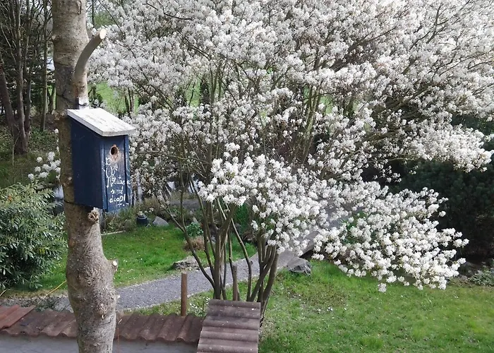 Seebach Vermietung Daire Weisendorf